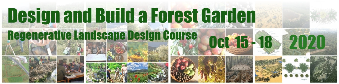 Design and Build a Forest Garden