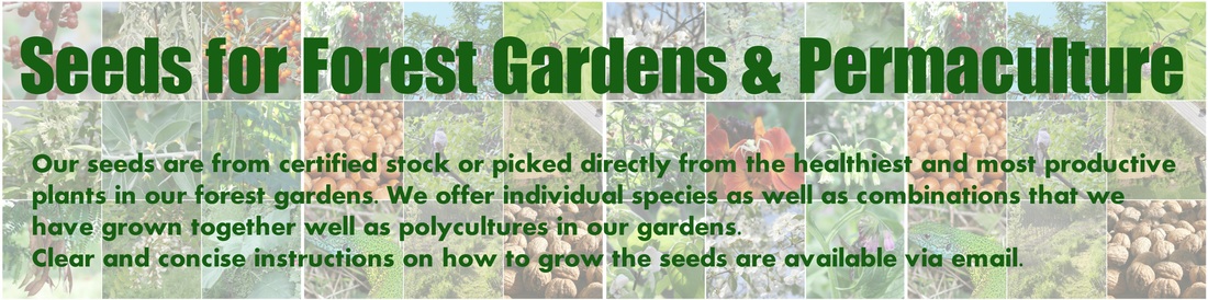 Seeds for Forest Gardens & Permaculture