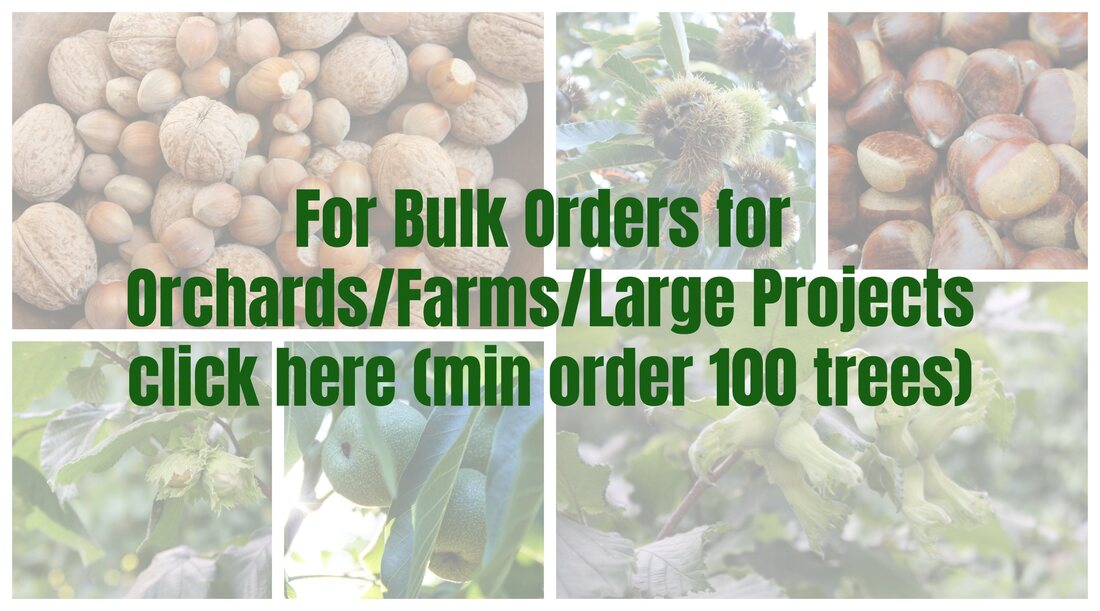 For Bulk Orders for Orchards 
